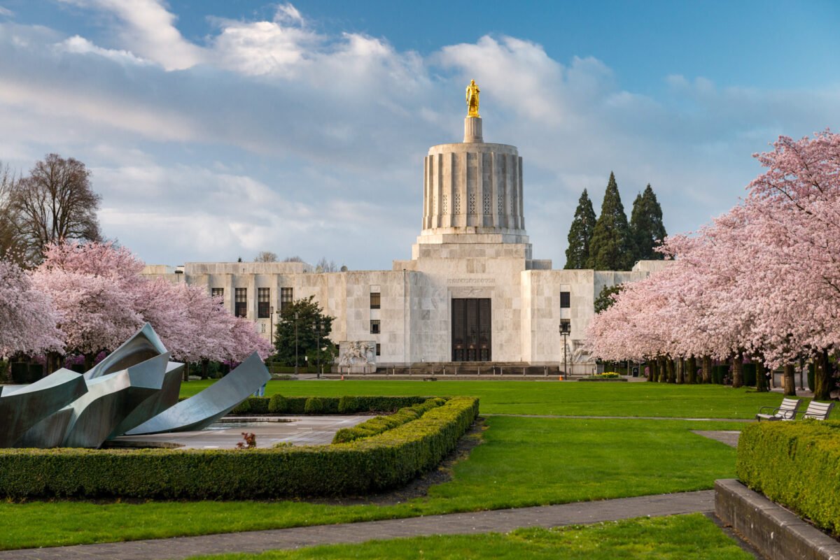 Cherry blossoms and the State Capitol at the Capitol Mall in Salem.